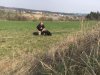 Starý rybník