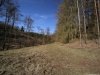 Kůrovec